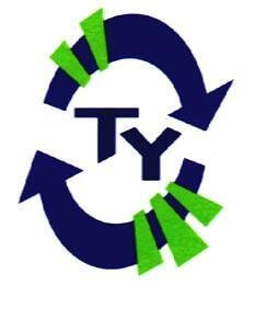 Transition Year